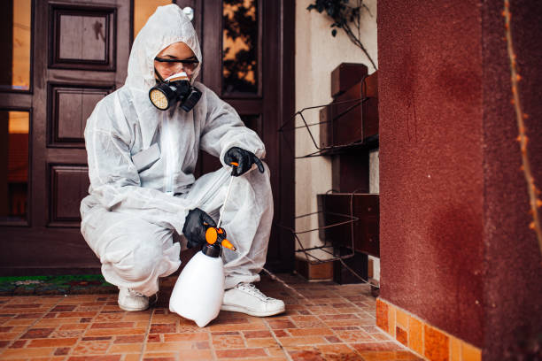 Reliable Ant Control contractor in Frankfort, OH by Show Me Pest Control
